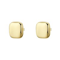 Earrings Brosway Woman Muse in Steel BUE22